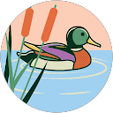Bessinabout profile picture
