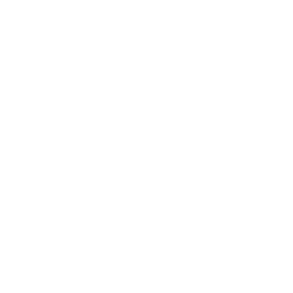 carpet removal service