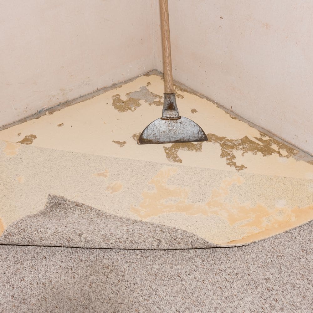 Carpets and Underlay removal